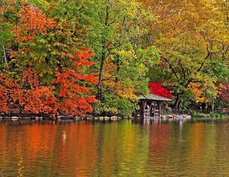 Central Park Bukurešť Pokoj fotografie